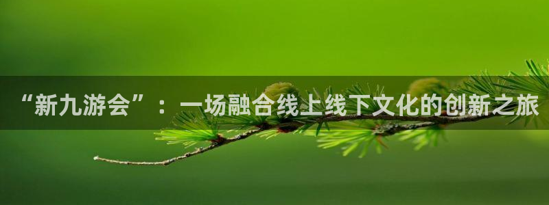 OB视讯app新版上线体验.游戏更新入口.中国：“新九游会”：一场融合线上线下文化的创新之旅