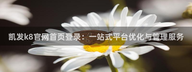 OB视讯预测pc在线预测网址：凯发k8官网首页登录：一站式平台优化与管理服务