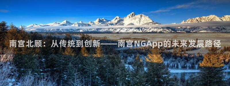 OB视讯预测pc在线预测网址：南宫北顾：从传统到创新——南宫NGApp的未来发展路径