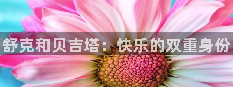 OB视讯游戏官网入口