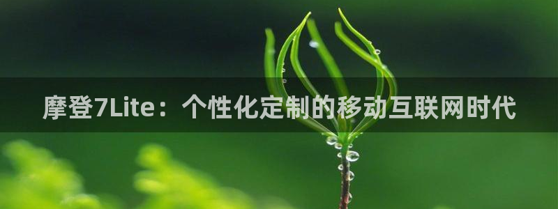 伟德国际集团 壹号(one game)