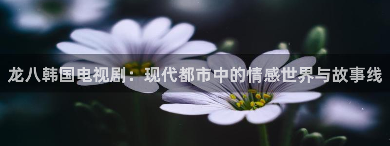 OB视讯网站