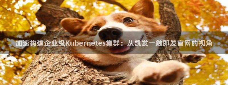 OB视讯充值怎么退款