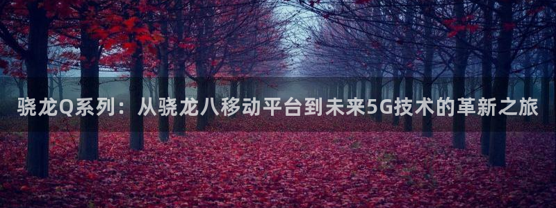 OB视讯app入口