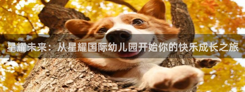 OB视讯app下载安装