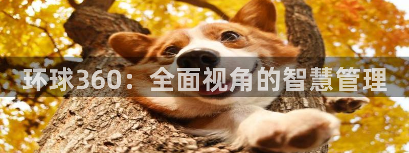 OB视讯官方网站