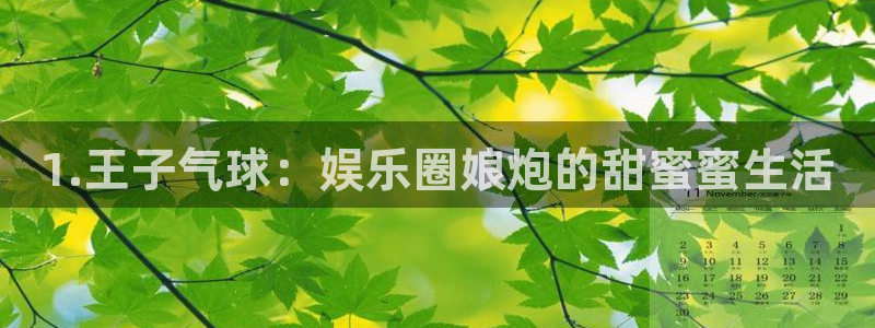 OB视讯在线下载