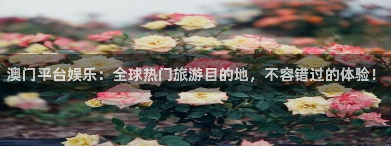 OB视讯.ccmpc登录