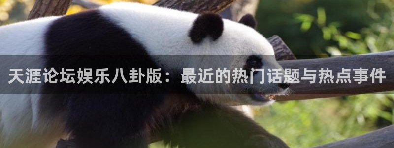 OB视讯.ccmpc正版官网版下载