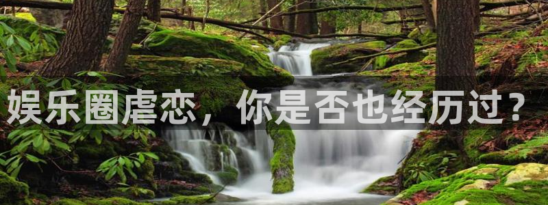 壹号电子娱乐app下载安装