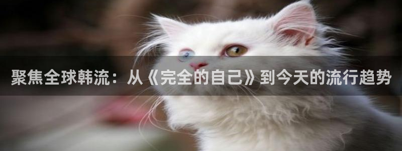 壹号app官方登录入口下载