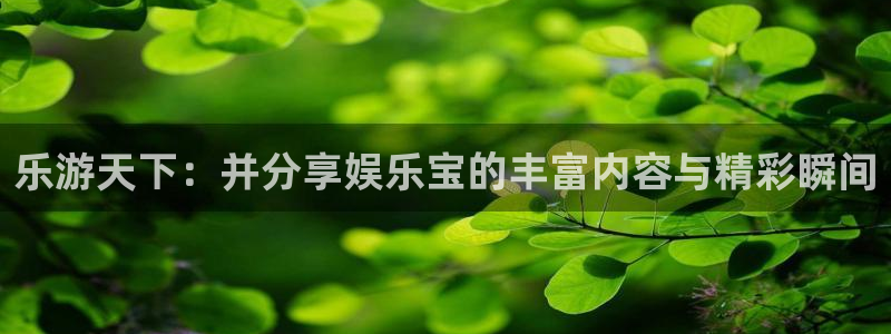 OB视讯网址
