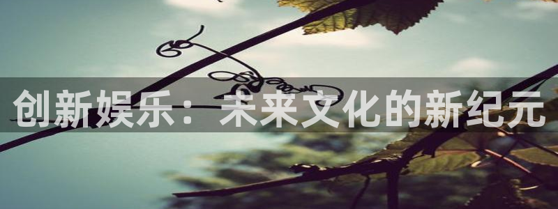 OB视讯分红代理计划