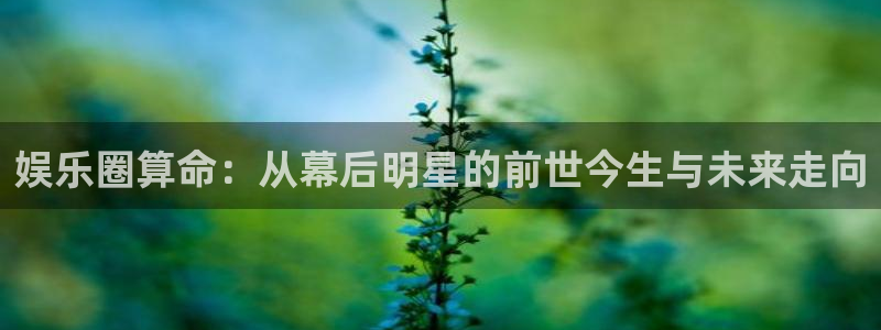 壹号app官方登录入口下载