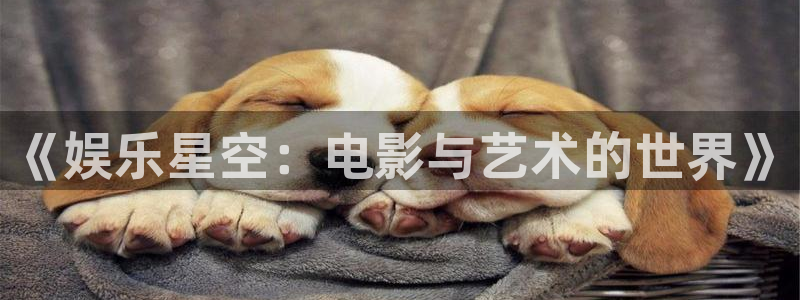 壹号app下载官网娱乐