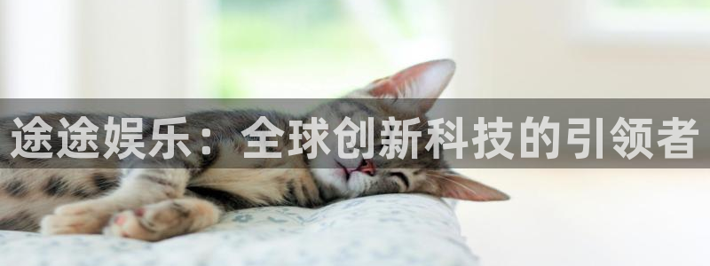 OB视讯电子娱乐官网下载