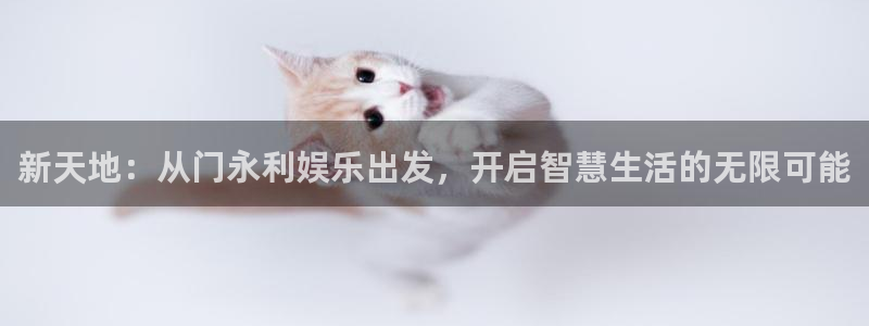 壹号平台下载安装