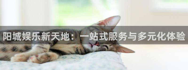 OB视讯网站平台