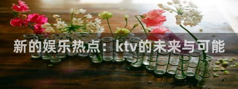 壹号top娱乐：新的娱乐热点：ktv的未来与可能
