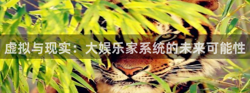 壹号top娱乐