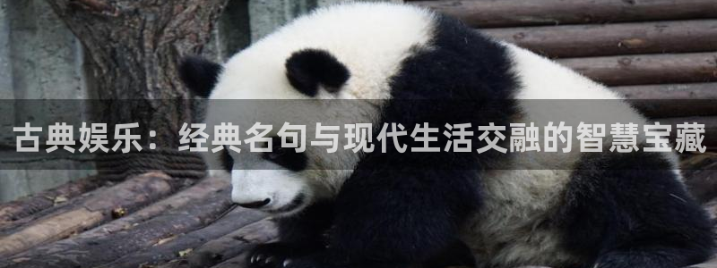 OB视讯下载